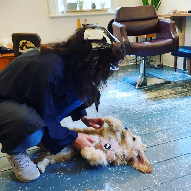 A dog getting a good old belly-rub on the floor at Do-Lalli bespoke hair